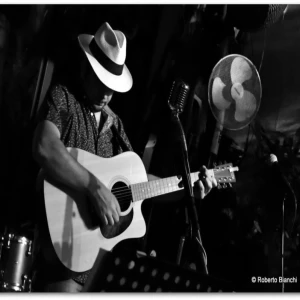 Frank D'Acri gallery